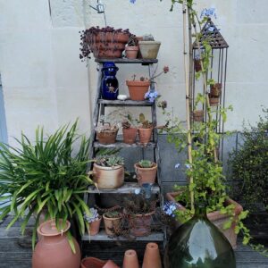 Jardin