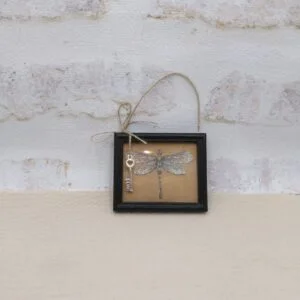 Minuscule cadre décor libellulle