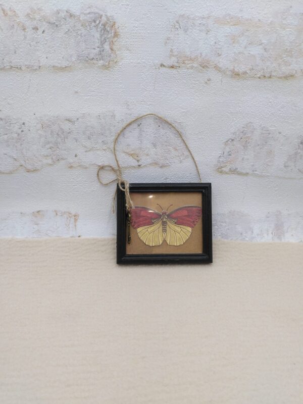 Minuscule cadre décor papillon rouge et jaune