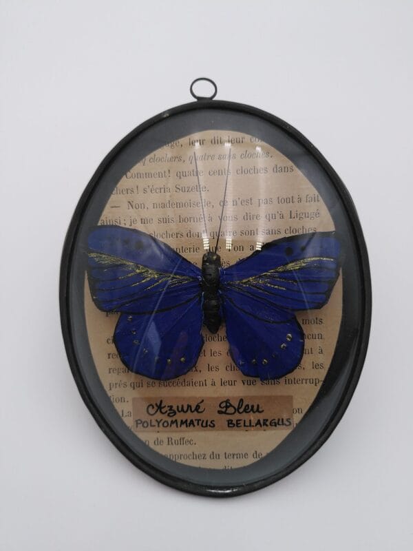 Cadre papillon en plume bleu et or
