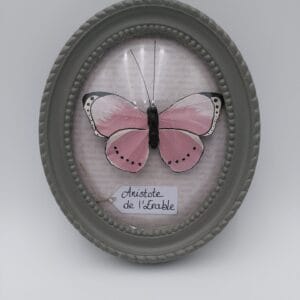 Accueil Cadre papillon rose