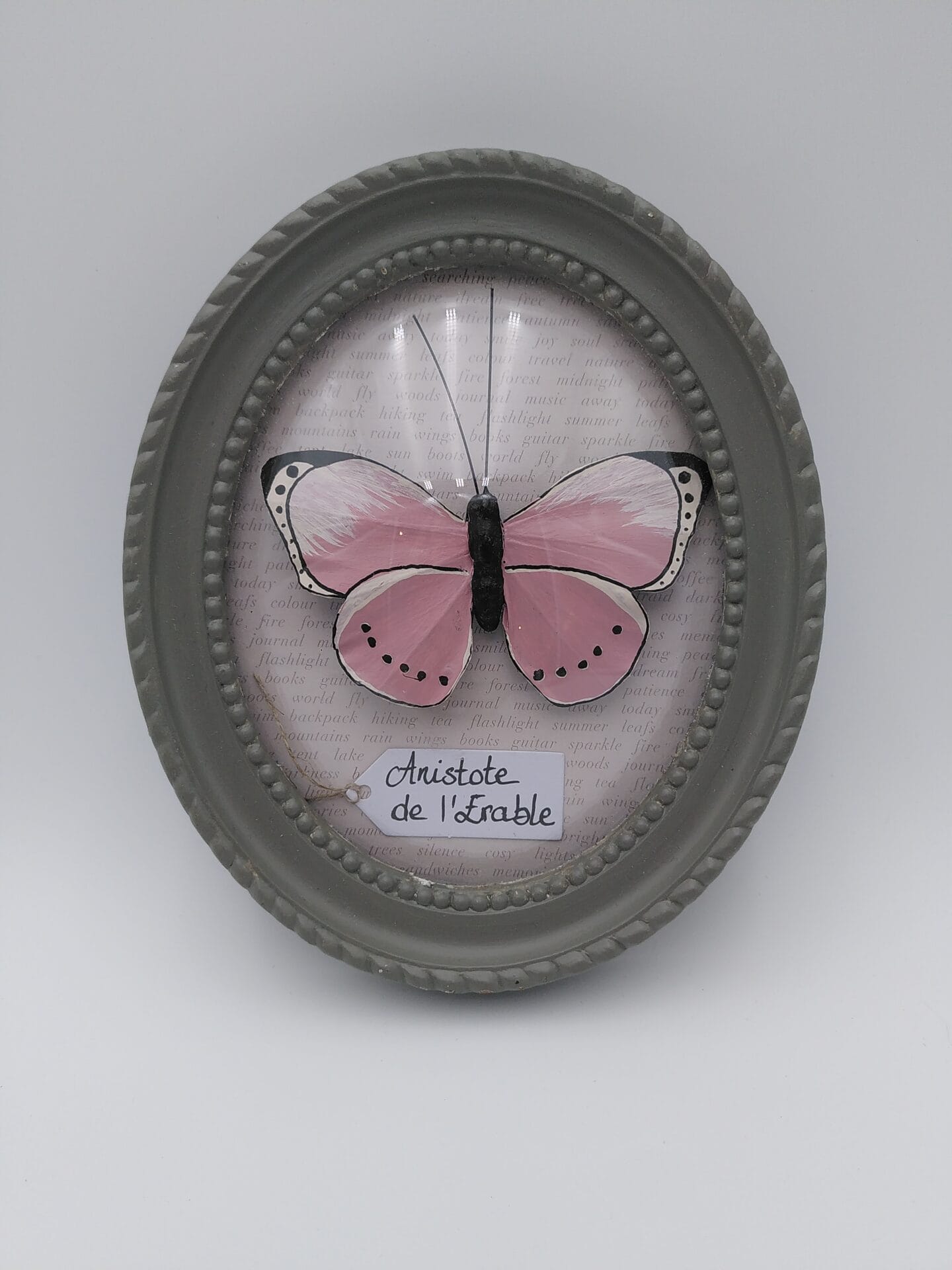 Cadre papillon rose Cadre papillon rose